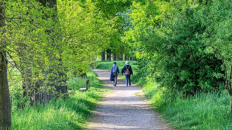 Pensioners walking in a wood