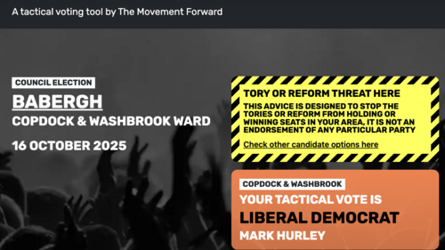 Vote Mark