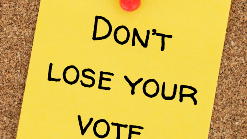 Dont lose your vote sticker